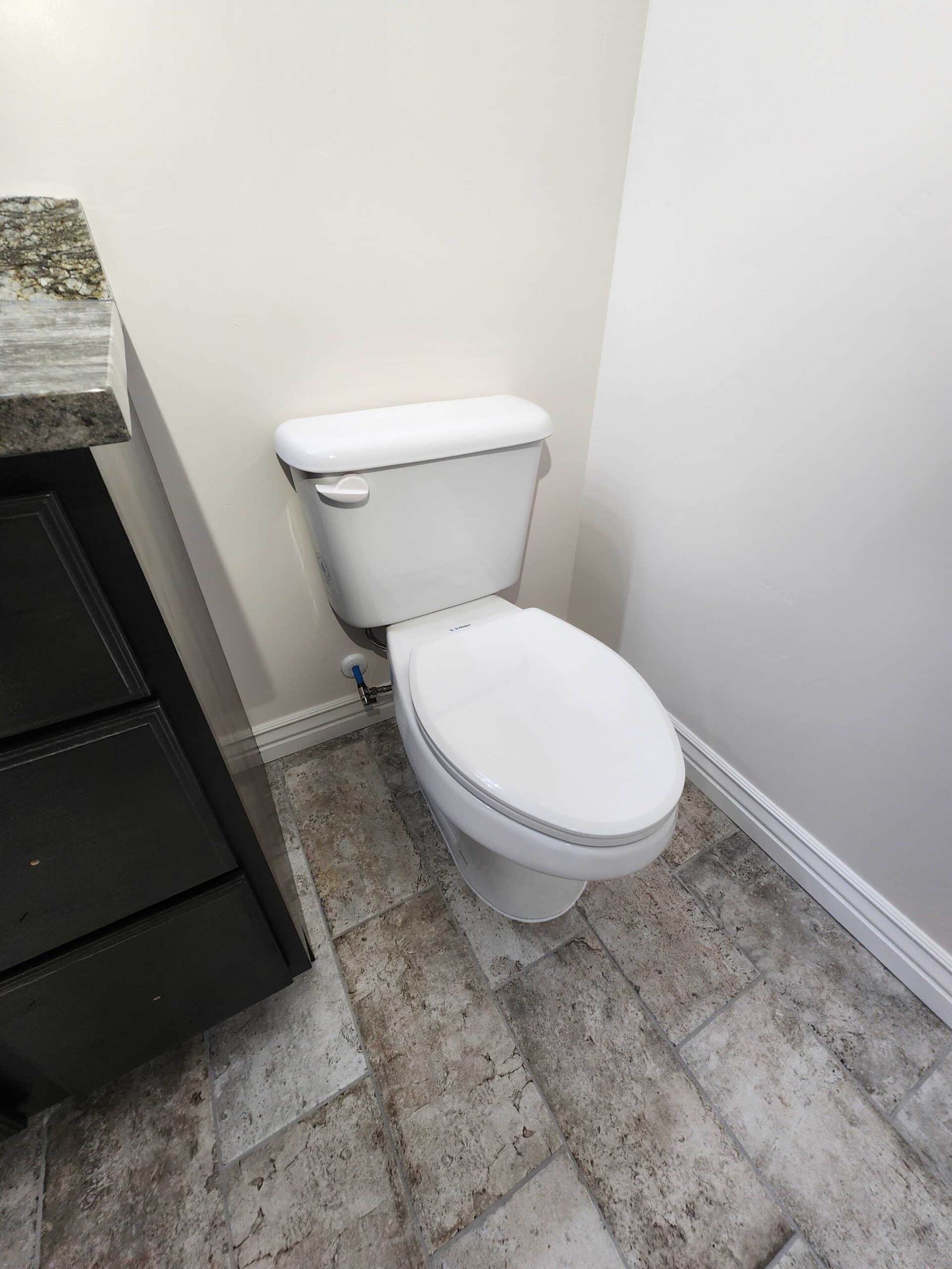 Toilet and vanity installation in remodeled bathroom