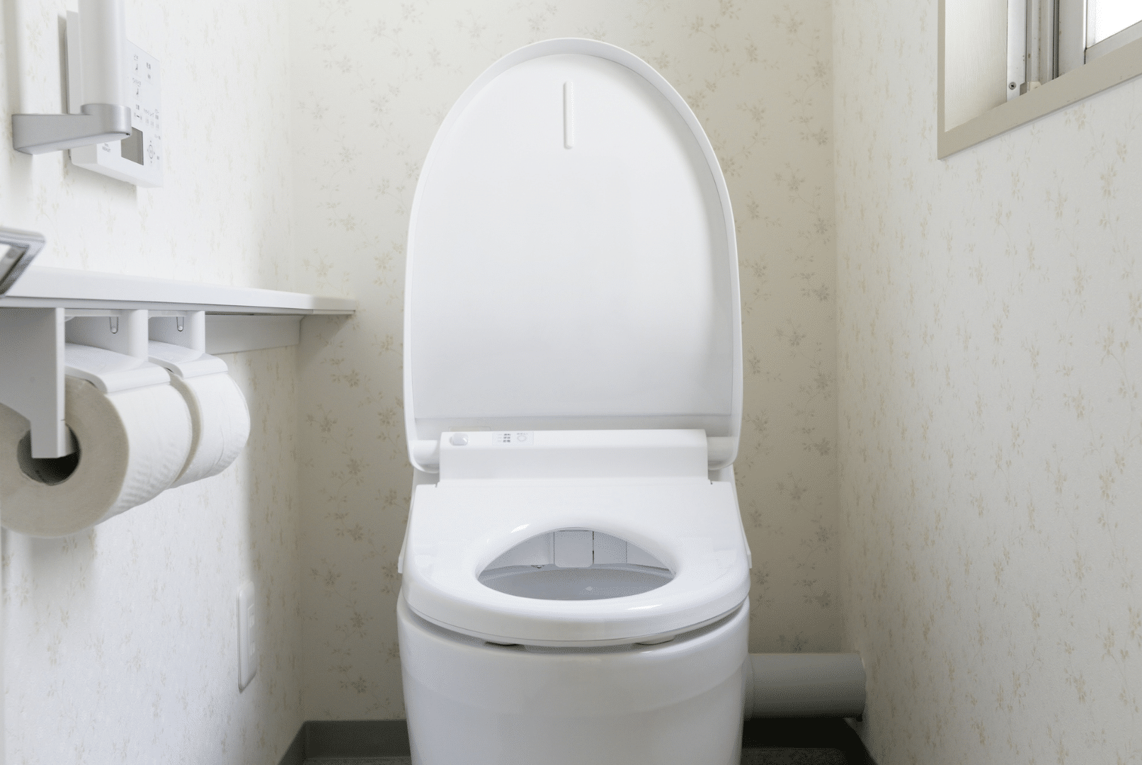 Toilet Leaks